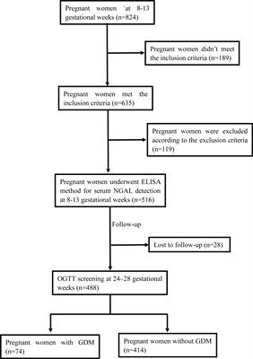 Maternal serum NGAL in the first trimester of pregnancy is a potential biomarker for the prediction of gestational diabetes mellitus